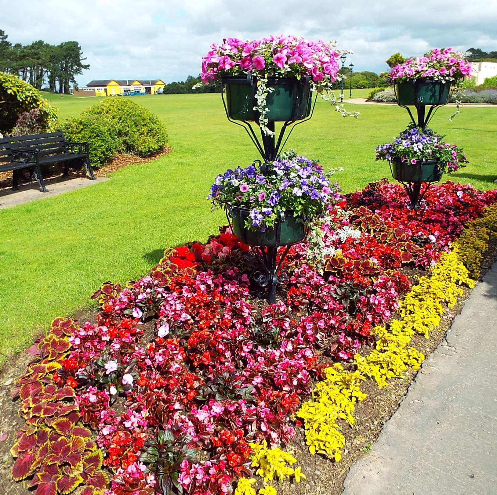 Silloth is absolutely Blooming!! Come and judge for yourself!!
